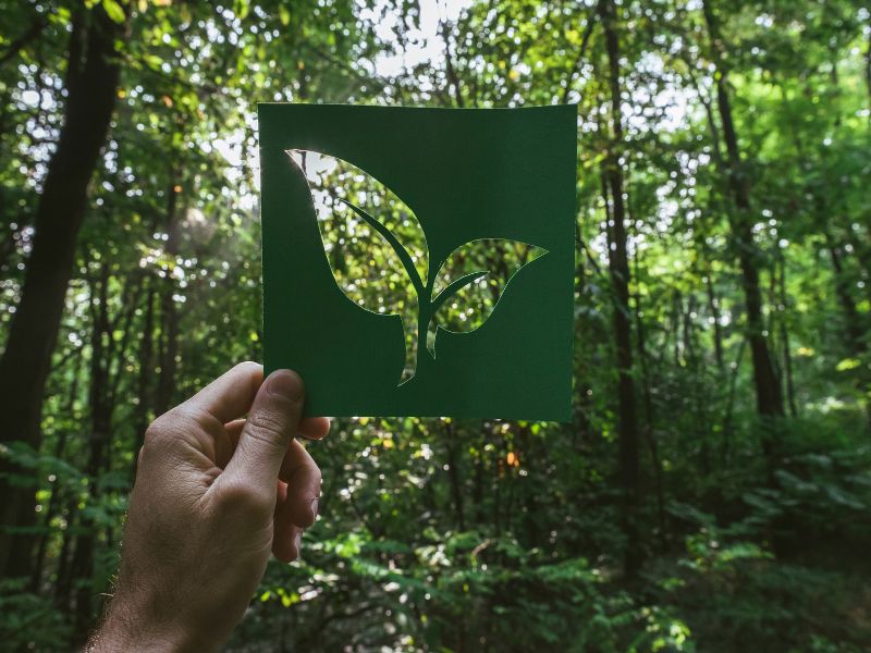 Why Recycling Isn't Enough and What We Need to Change