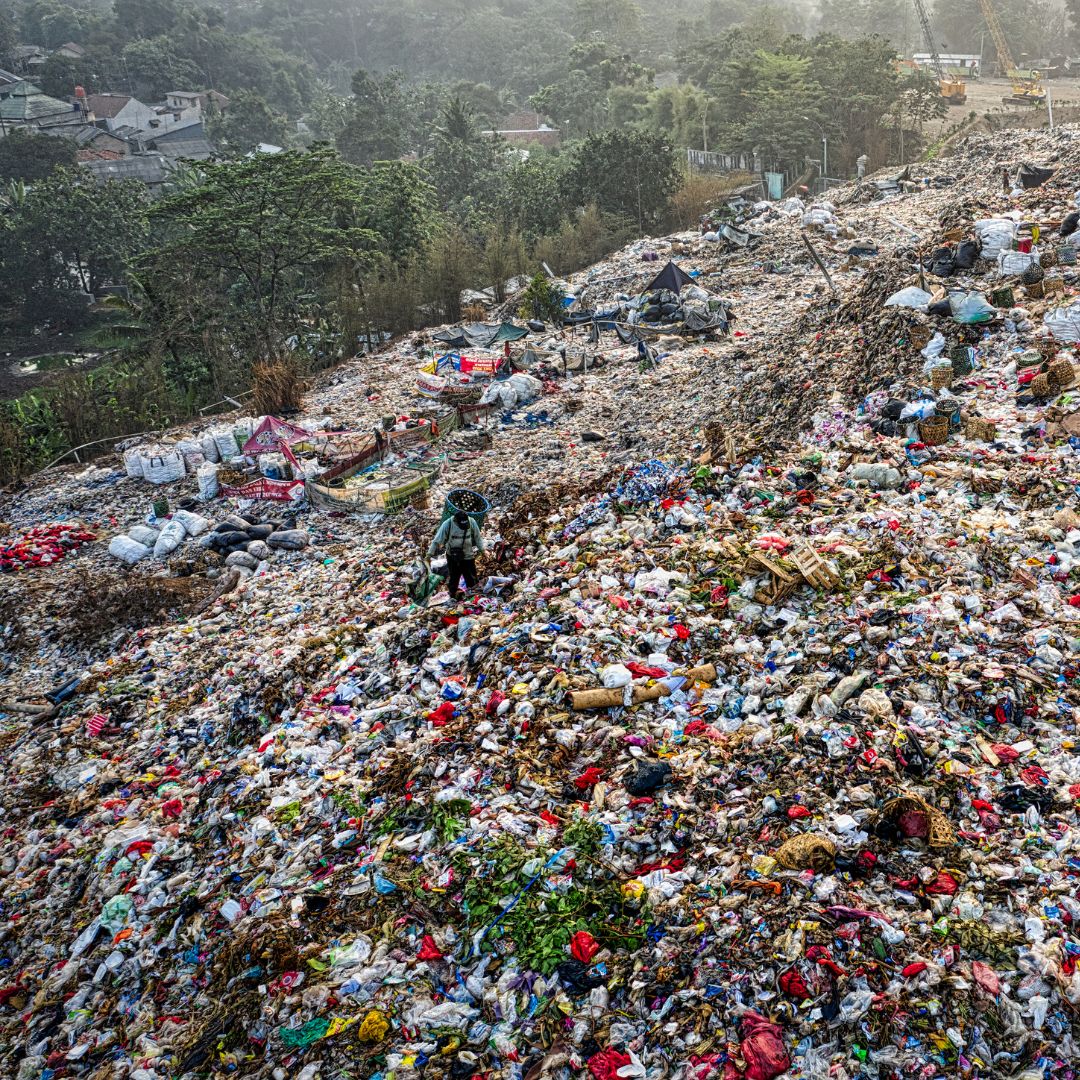 The environmental impact of disposable single-use items in landfills, oceans and the environmental needs to be better managed
