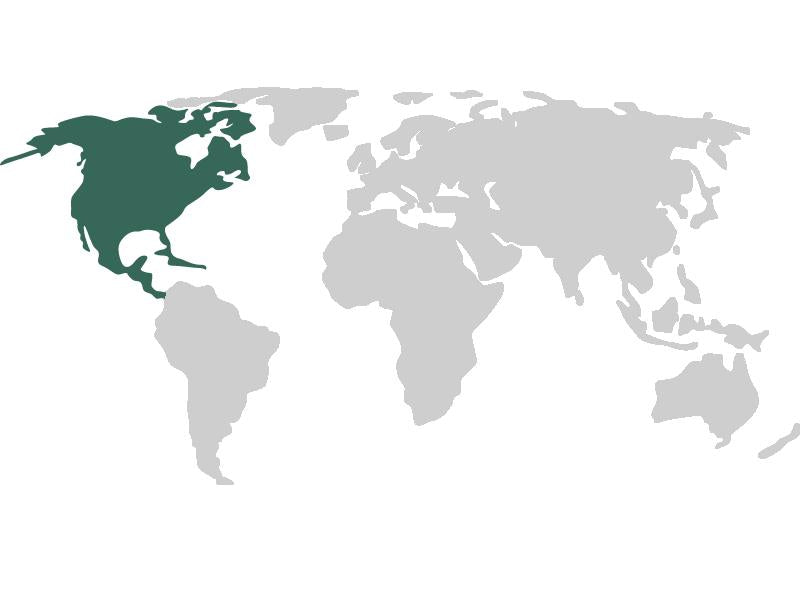 Paper Saver Reusable Notebooks | NORTH AMERICAN COLLECTION