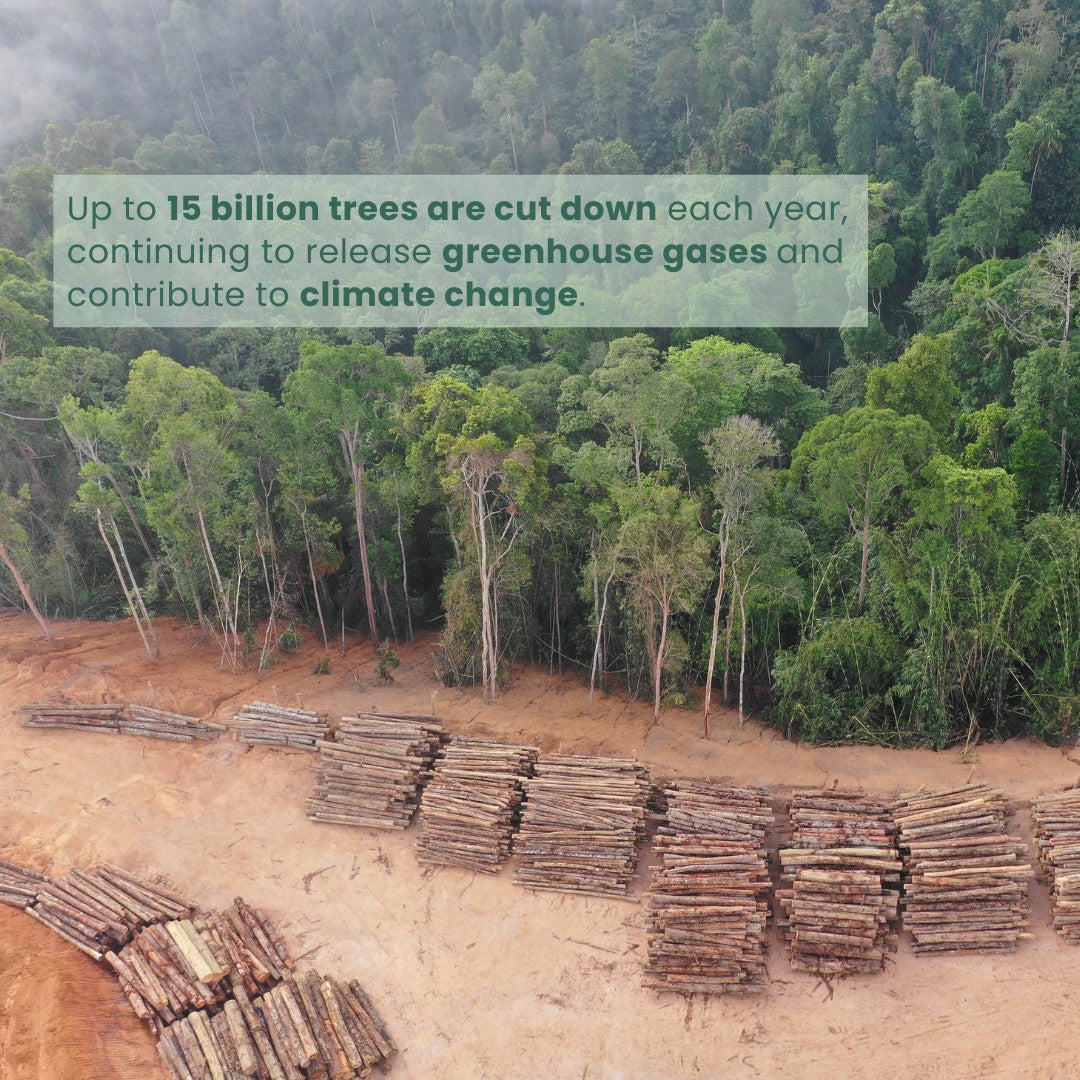 Cutting down trees releases carbon dioxide and other greenhouse gases, causing global warming, or climate change.