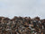 Paper takes up to 15 years to decompose in landfill due to compression systems so it is not biodegradeable within weeks as commonly thought.